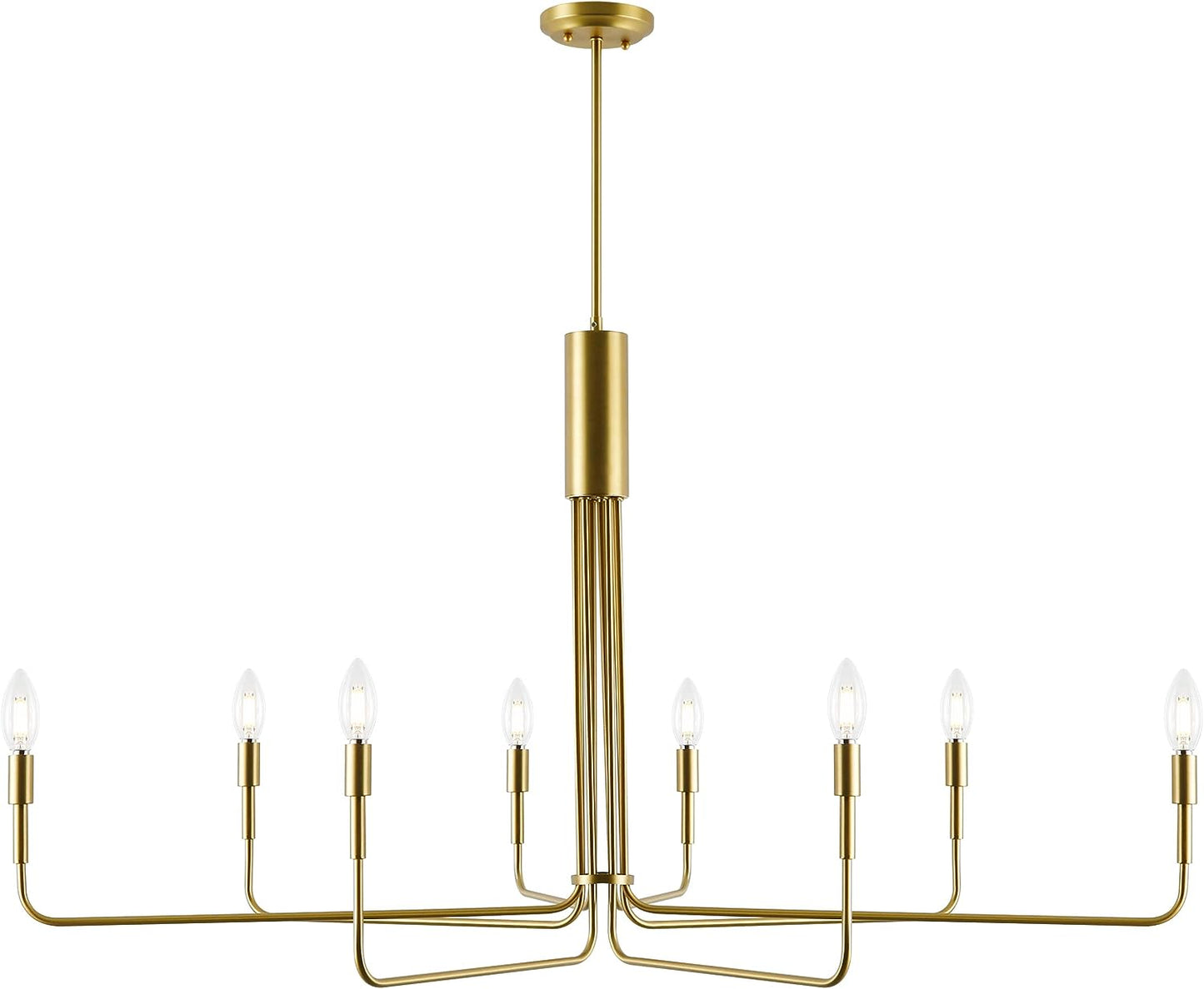 Light Society LS-C317-BB Bella 8-Light Chandelier, Brushed Brass