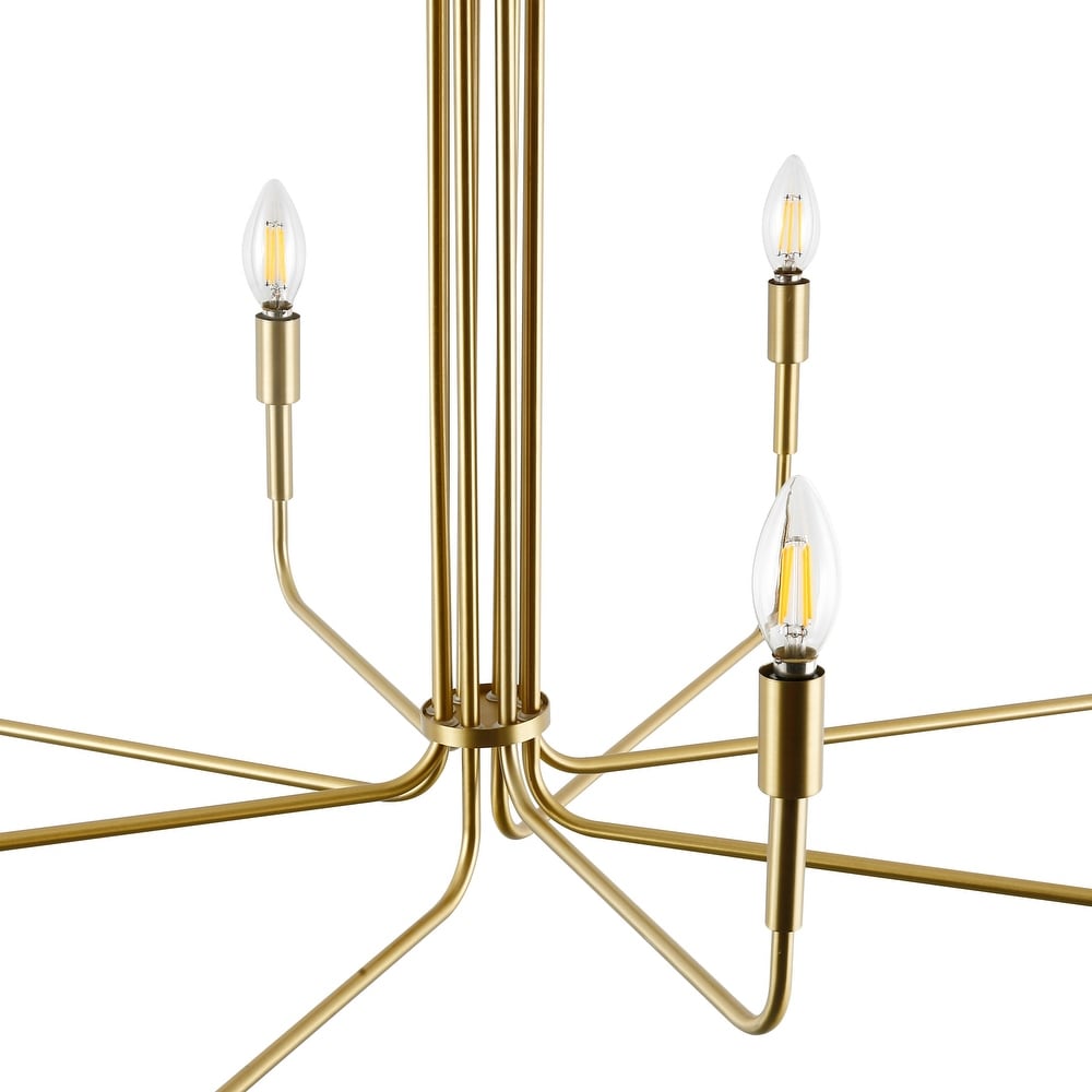 Light Society LS-C317-BB Bella 8-Light Chandelier, Brushed Brass